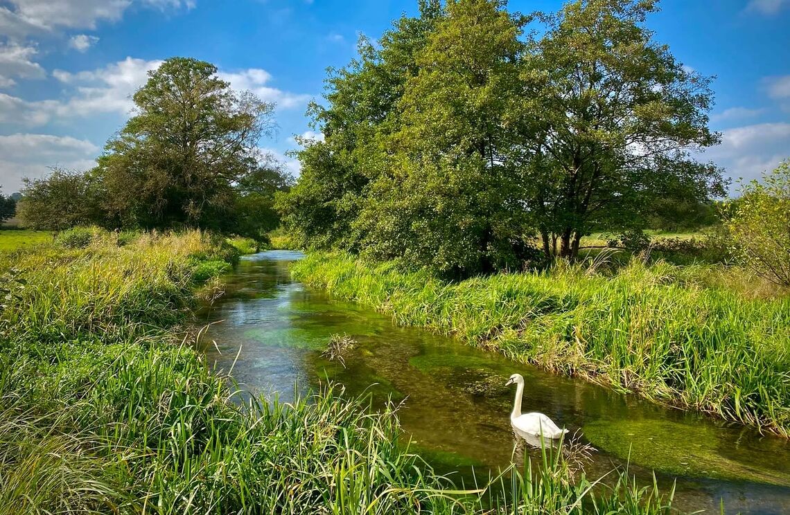 Chalk Stream