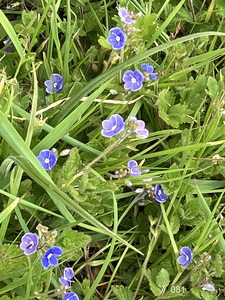 081 Tiny Happy World